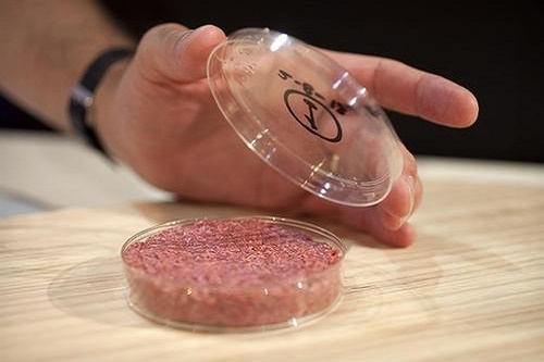 “人造肉”熱潮，未來將替代60%肉制品？