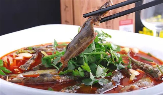 泡菜魚(yú)