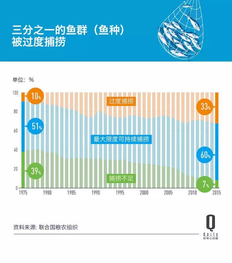 1/3 的魚(yú)類正被人過(guò)度捕撈，而同時(shí)撈上來(lái)的又有 1/3 被丟棄