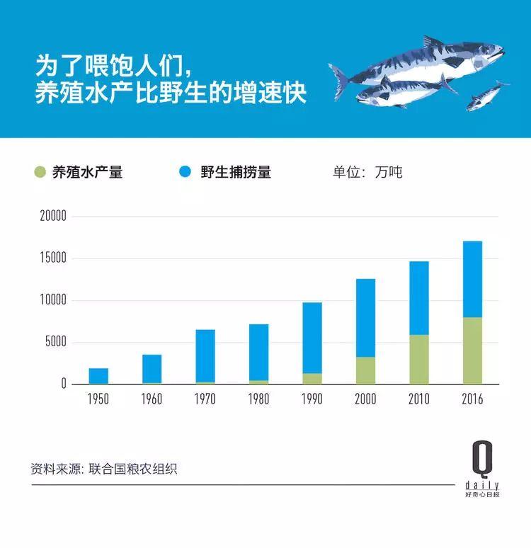 1/3 的魚(yú)類正被人過(guò)度捕撈，而同時(shí)撈上來(lái)的又有 1/3 被丟棄