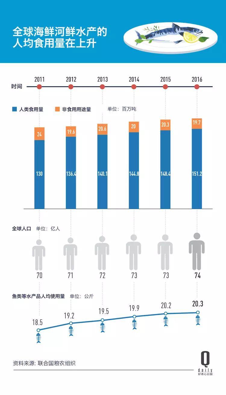 1/3 的魚(yú)類正被人過(guò)度捕撈，而同時(shí)撈上來(lái)的又有 1/3 被丟棄