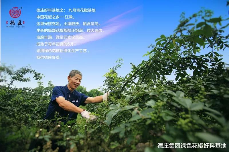 食品安全問題頻發(fā)，這家火鍋餐企憑啥突出重圍？