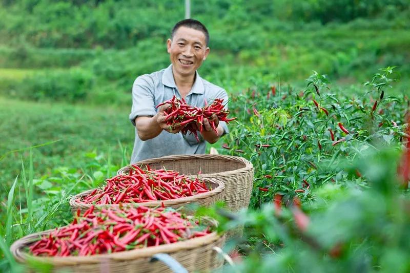 食品安全問題頻發(fā)，這家火鍋餐企憑啥突出重圍？